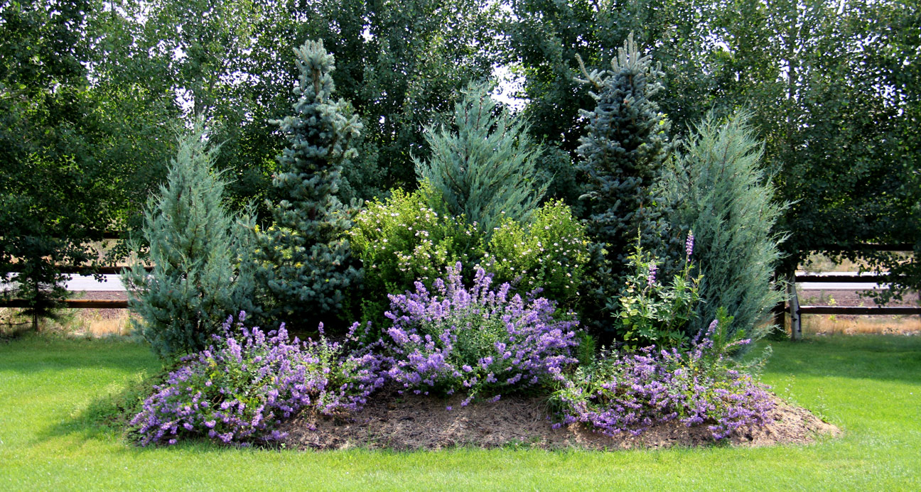 Landscape at Birch Park