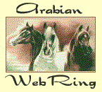 This site is another Oasis in theArabian Horse WebRing
